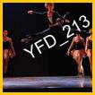 YFD_213
