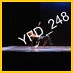 YFD_248
