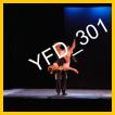 YFD_301