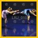 02/LRJ_010_v.jpg