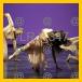 13_world/LRJ_347_v.jpg