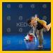 08/KED-202_v.jpg