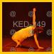 11/KED-249_v.jpg